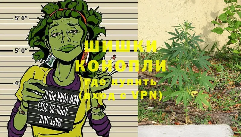 Каннабис Bruce Banner  купить  сайты  Губкин 